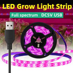 5V USB Led 식물 성장 빛 전체 스펙트럼 수경 성장 램프 실내 식물 온실 꽃 씨앗 식물 램프 스트립