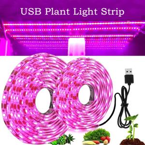 USB LED 성장 빛 스트립 방수 전체 스펙트럼 DC5V 5m 식물 빛 성장 LED 식물 램프 야채 꽃 모종 성장 텐트