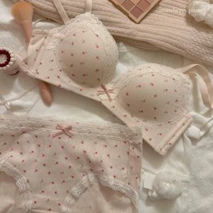 십대 섹시 레이스 플로럴 브라 세트 편안한 노와이어 뷰티 백 작은 가슴 모아주는 서포트 처짐 방지 브라 세트