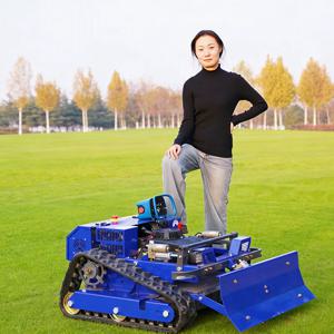 맞춤형 550mm 4행정 무선 잔디깎이 다목적 잔디깎이 및 눈삽 포함