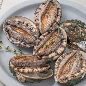 바다마을 완도 활전복