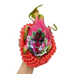 베트남 프리미엄 용과 2.5kg (5입)