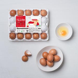 [당일산란/당일발송] 가농 1+등급 무항생제 대란 40구(HACCP 인증 계란 달걀)