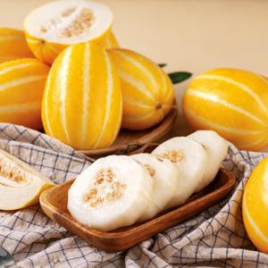 아삭달콤 국내산 성주참외 가정용 참외 2kg/3kg