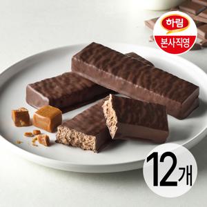오늘단백 밀크초코 카라멜바 48g 12개