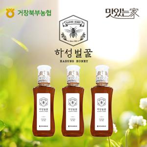 맛있는家 거창북부농협 하성벌꿀 500g x 3병