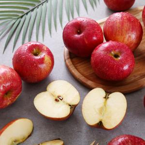 다농이네  부사 사과 2.5kg 外