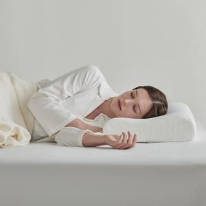 [1+1]알러씰 텐셀 진드기차단 방수 메모리폼 베개 30x50cm