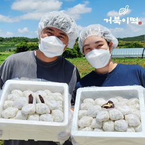 [직접농사지은] 찹쌀모찌떡 앙버터 찹쌀떡 개별포장 (80g x 20/35알)