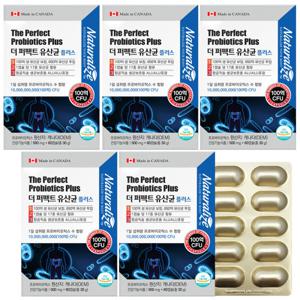 더 퍼펙트 유산균 프로바이오틱스 510mg 60캡슐 5박스 10개월분 (업그레이드 650억 투입 100억 보장)
