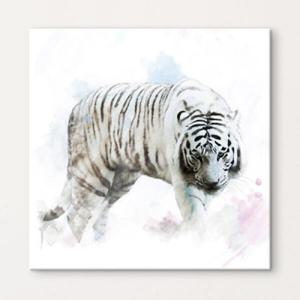 아트박스/꾸밈 cv011-맹수_백호와호랑이_노프레임