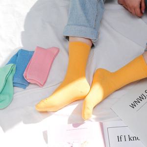 16색상 비비드 컬러풀 골지양말