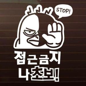아트박스/제제데코 접금금지 나 초보 _덕구 [자동차스티커/초보