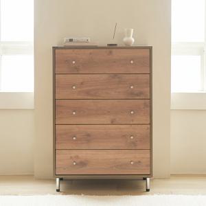 아이엔지홈 알렉스 5단 서랍장 2colors (착불)