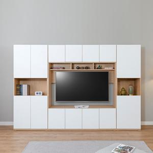 나무뜰 칸느 3000 월플렉스 시스템 거실장 BSC221C (착불)