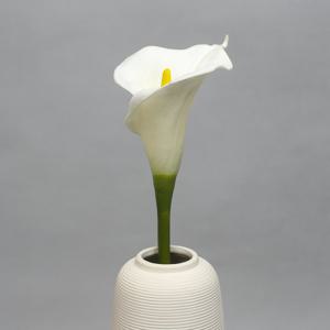 [비투비월드]플라워가든 카라 조화/인테리어 조화꽃 꽃다발 꽃장