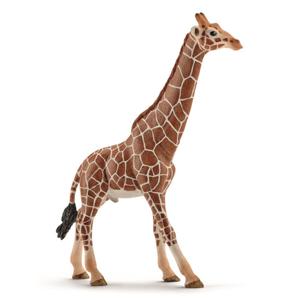 [나비타월드]슐라이히  SL14749 수컷 기린