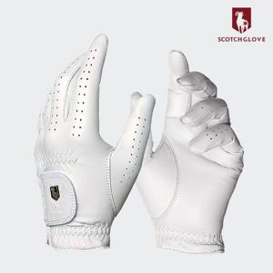 스카치글러브 천연 양피 남성용 골프장갑 [SCGM01]