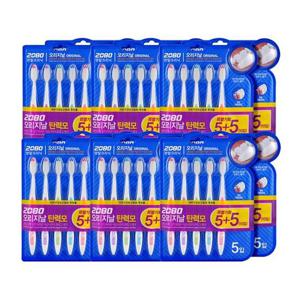 2080 오리지널 칫솔 탄력모 10입 x6