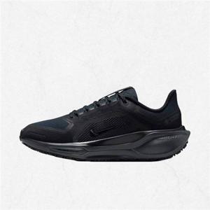 나이키 W 페가수스 41 GORE-TEX FQ1357-001 2476911