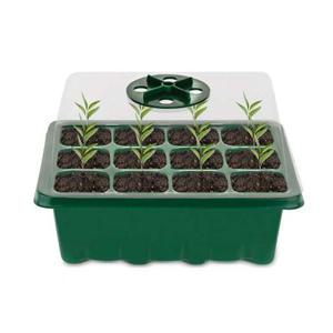 모종 트레이 12구 모종판 씨앗발아