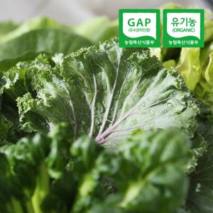 충주 유기농 쌈채소 600g