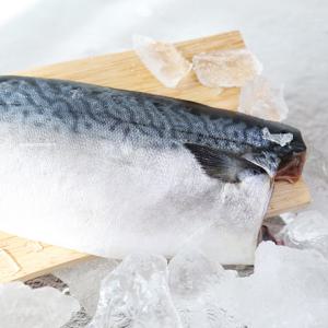 [산지직송] 제주 간편 손질고등어살(대) 2kg