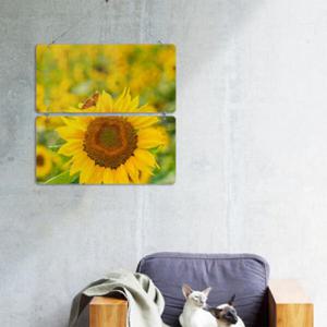 아트박스/꾸밈 nk109-멀티아크릴액자_노란해바라기와나비(2단)