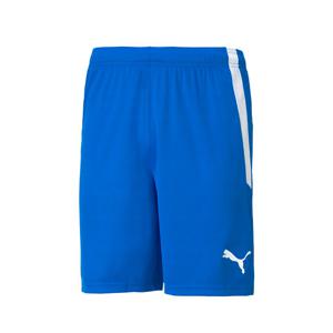 푸마 팀리가 쇼츠 70492402 남성 반바지