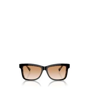 브루넬로 쿠치넬리 선글라스 BC4009S 10173B BLACK ON HAVANA