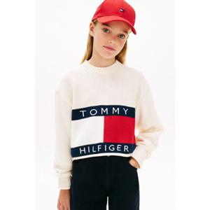 [타미힐피거칠드런TD] 헤리티지 플래그 스웨터 2종 (T42G0WWO450GT1)
