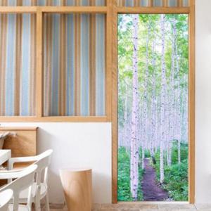 아트박스/꾸밈 ga415-한적한자작나무숲길_현관문시트지