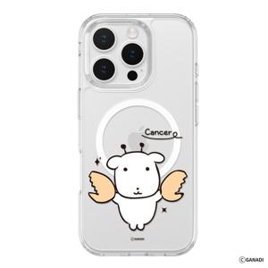 모란카노 가나디 아이폰 15  프로 맥스 퓨어쉴드 맥세이프 별자리 디자인 투명 범퍼 케이스