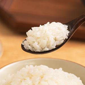 삼대 신동진쌀 10kg 상등급 (25년 햅쌀)