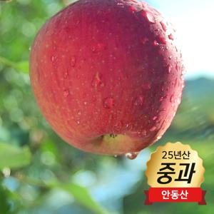 [중과] 제철엔 안동 사과 5.6kg (2.8kg + 2.8kg) / 총 24과 / 부사 / 정품