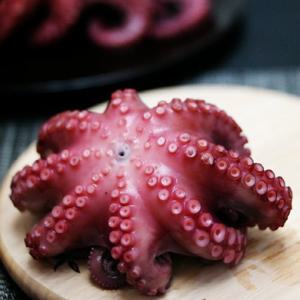 [산지직송] 고흥 돌문어 1kg(2~4미) 급냉