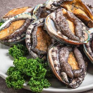 갤러리아_[산지직송] 진도전복 활전복 전복구이용 1kg 25-30미