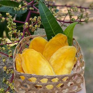 [푸드맛남] 달콤한 말린 베이비 건 망고 200gx3봉