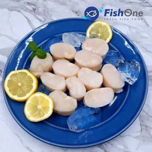 [피시원] 국내산 키조개관자(소) 350g (13-16미)냉동