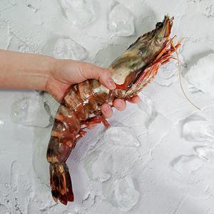 [물맛남] 자연산 킹타이거새우 1kg 4미 특대