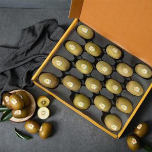 [제스프리] 고당도 제주 골드키위 선물세트 2.4kg 25개입