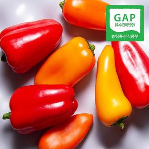 [GAP인증] 산지직송 진주 신선한 미니 파프리카 1kg(500gX2팩)