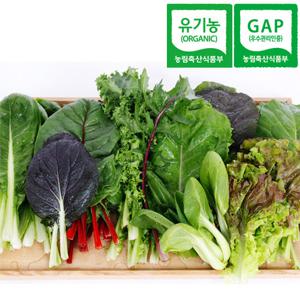 초록내음 유기농 쌈채소 600g