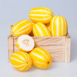 [자연품애 참외] 성주 참외 실중량 2.5kg 랜덤과