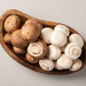 [대한민국농수산] 국내산 산지직송 충남 보령 양송이 버섯 파지 대용량 (브라운/화이트) 1kg