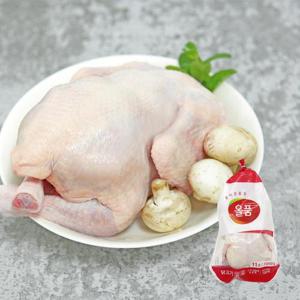 올품 냉장 육계생닭 11호 1.05kg 3개