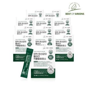 베스트오브그린 10억 유산균이 들어간 곡물발효효소 12박스 총360포