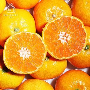 [웰굿] 제주직송 달콤한 비가림 감귤 4.5kg(프리미엄과,S)