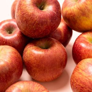 [과일꾼] 품질보장 경북 햇  부사사과  정품 5kg 중과 (17-23과)