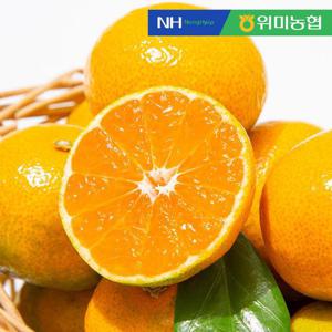 [농협] 문주왕 하우스 제주위미 감귤 5kg (45-70과 내외)